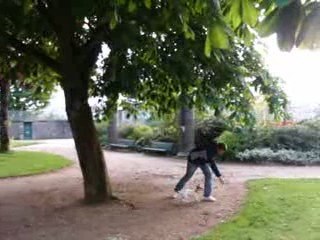 Donuts grimpe  à l'arbre !!!