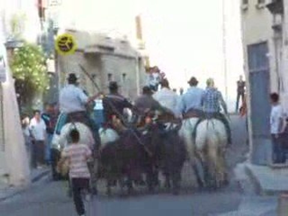 Le levant 008