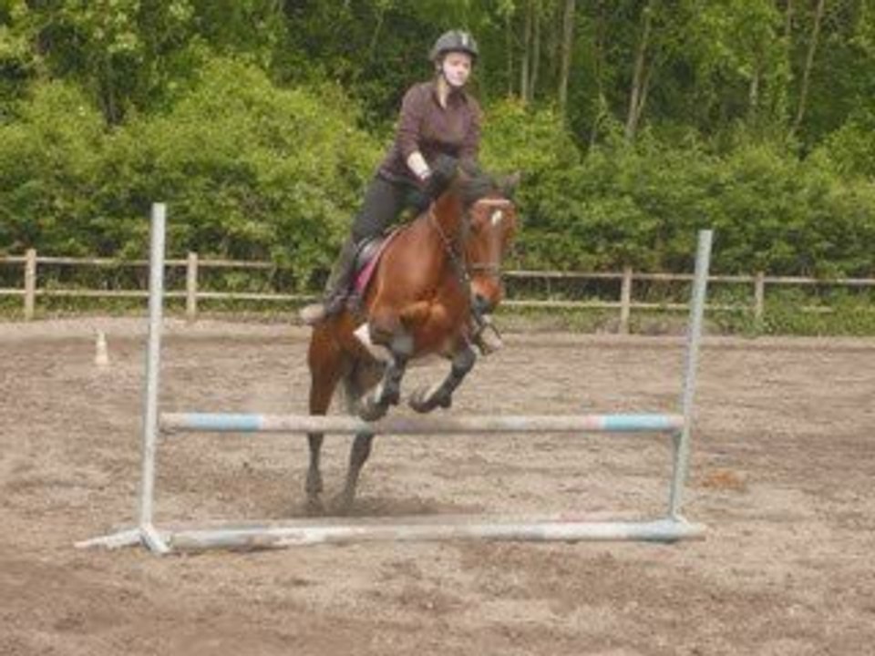 Halibi et moi - cours d'obstacles le 16 mai 2009