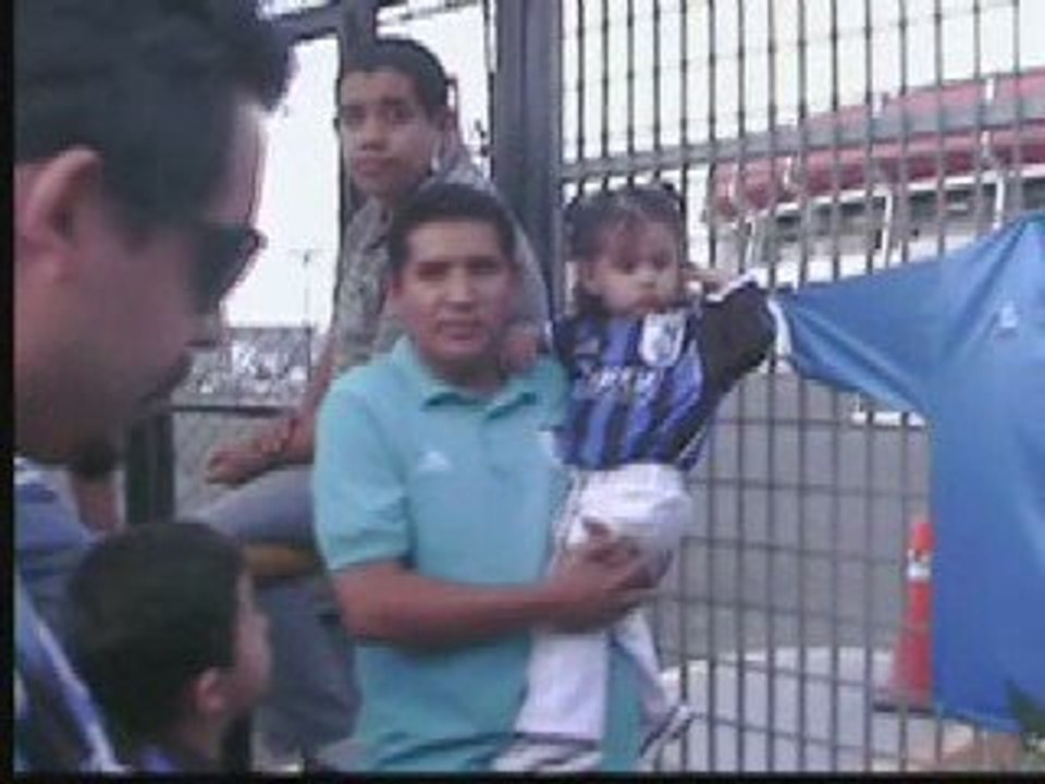 Gallo Fan homenaje gallos blancos 1987