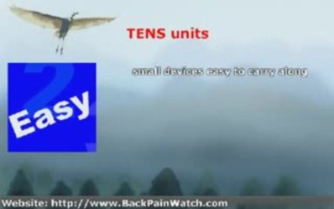 Effective Chronic Pain Relief  From Heating Pads to the Tens