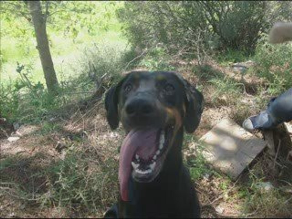 Alter sam titi poucinette cléo