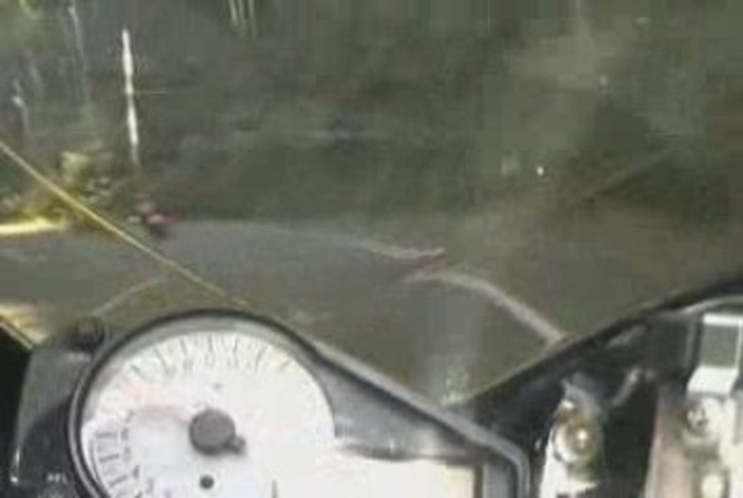 Acidente de moto com cachorro na estrada