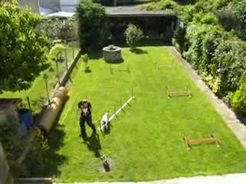 Dexter 7mois et demi