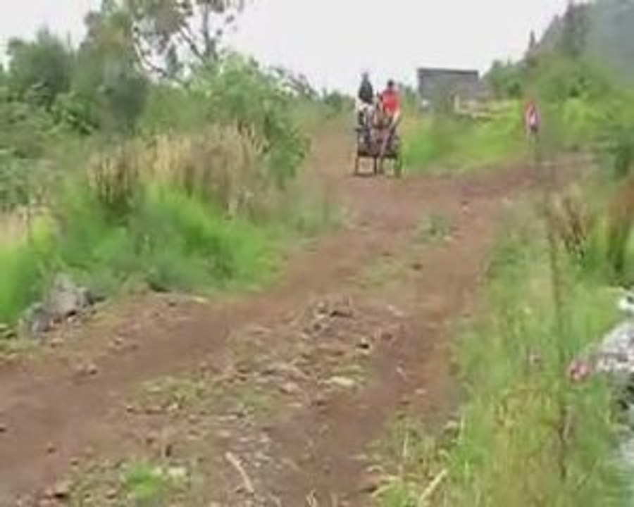 Balade attelage dec08