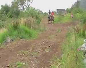 Balade attelage dec08