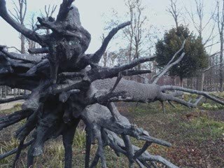 Arbre des voyelles, Guiseppe PENONE