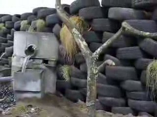 Nantes : Floralies 2009