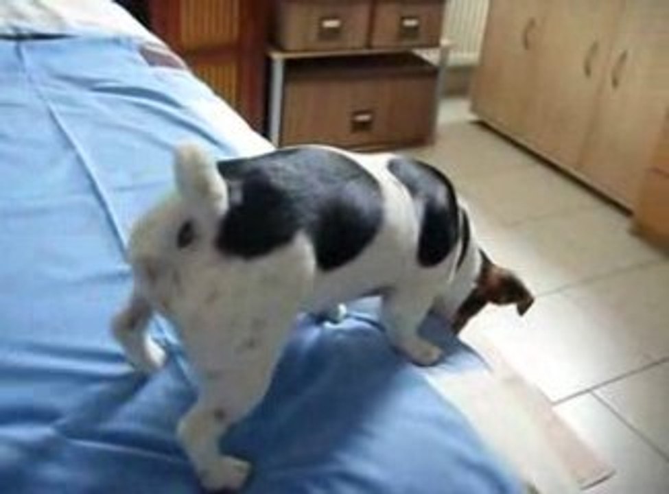 Doliprane gratte gratte gratte ...