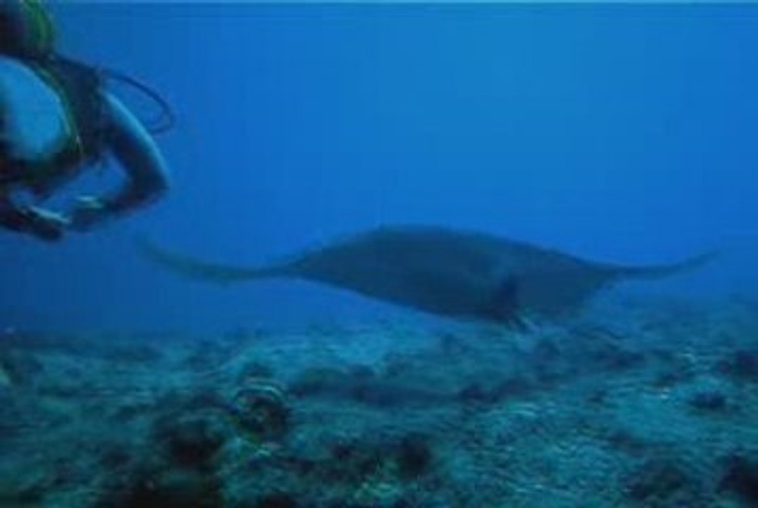 BOULARI MANTAS_PC