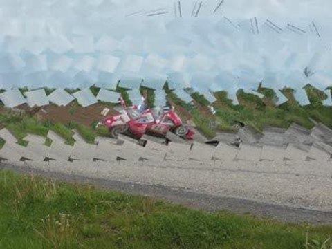 Album photo salamandre 2009