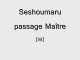 [FLYFF FR] Seshoumaru passage master