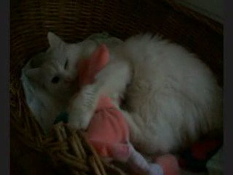 Plume, 18 mai 2009