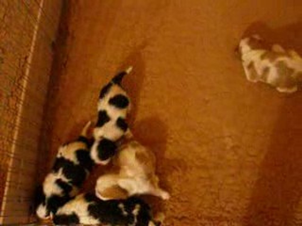 Les bébés ont grandi 2
