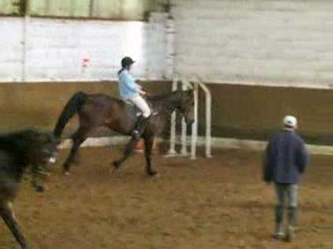 14.05.09 Cours dressage
