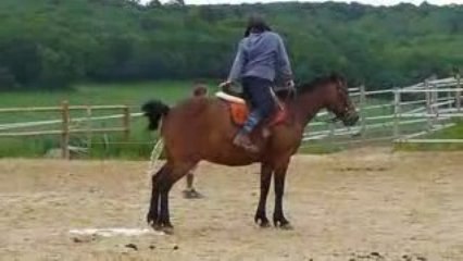 petite pause soulagement