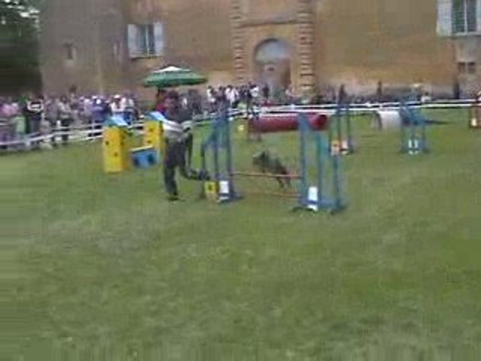 Blueberry Sélectif GPF Agility Jumping Valence 17/05/2009