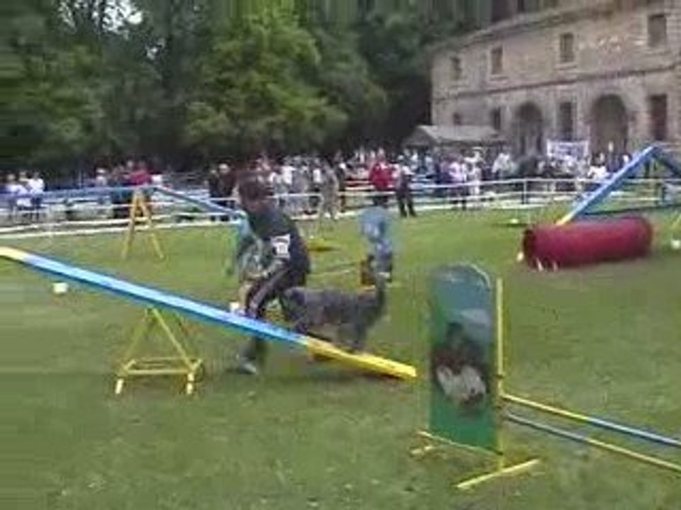 Blueberry Sélectif GPF Agility Valence 17/05/2009