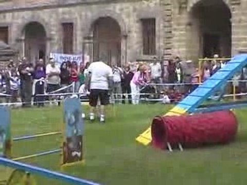 Salsa Sélectif GPF Agility Valence 17/05/2009