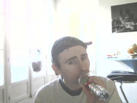 Wiwi égratigne If you love somebody set them free