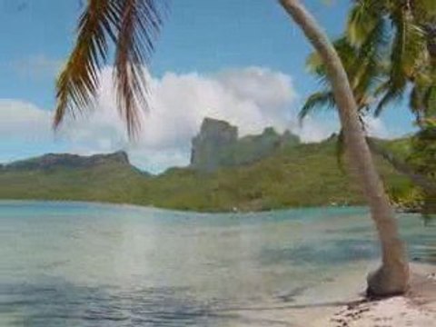 Man Makes Million Dollars Selling Forclosed Homes!