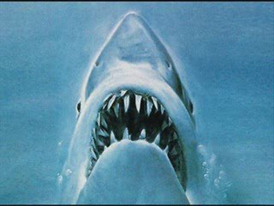 Les dents de la mer et TF1