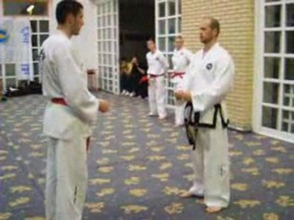 ITF BOSNA,taekwondo seminar Sarajevo 2009