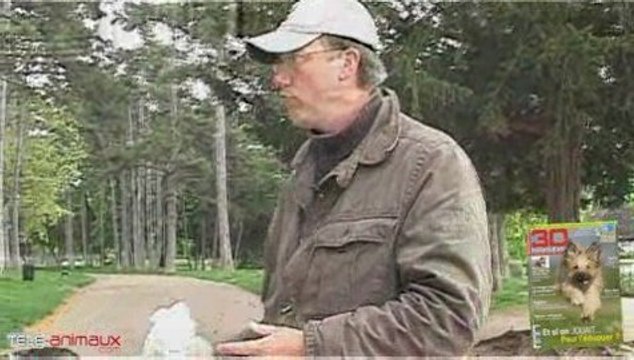 Obéissance : le rappel vers soi