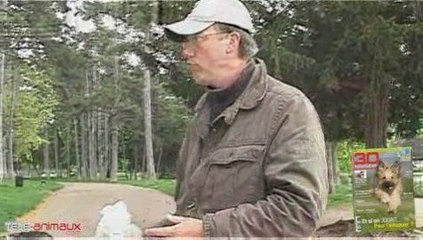 Obéissance : le rappel vers soi