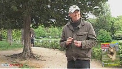 Le "couché" : apprendre à son chien à se coucher