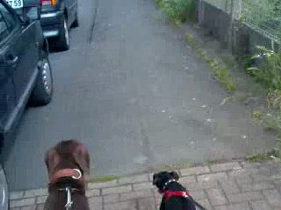 Charlie et Bibi en ballade