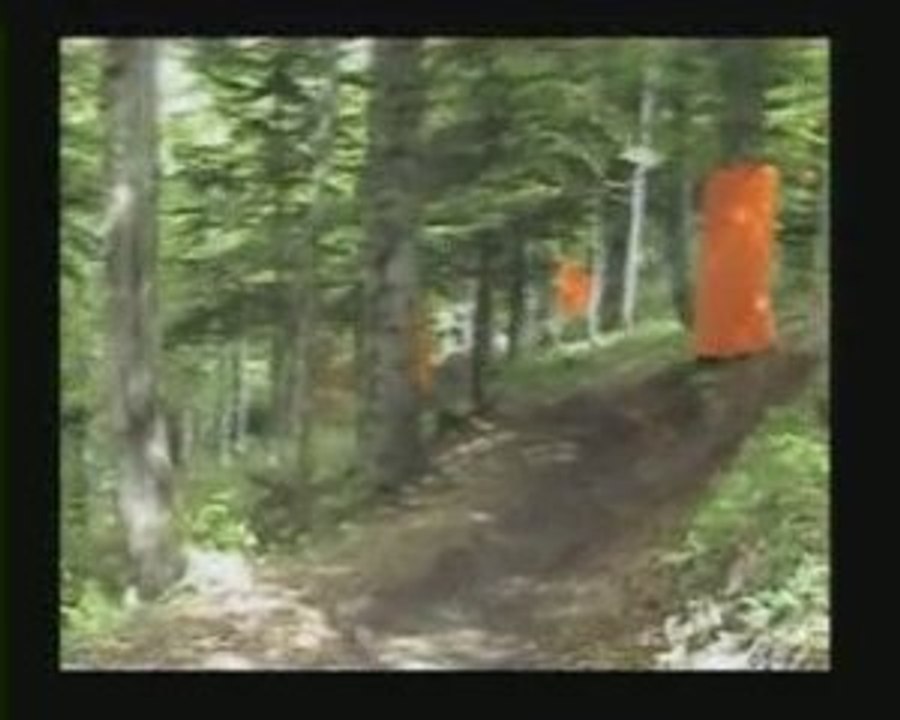 Attaque alpine
