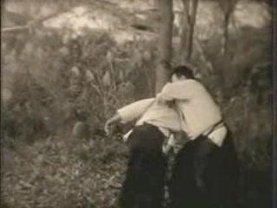 Aikido Saito sensei : Irimi