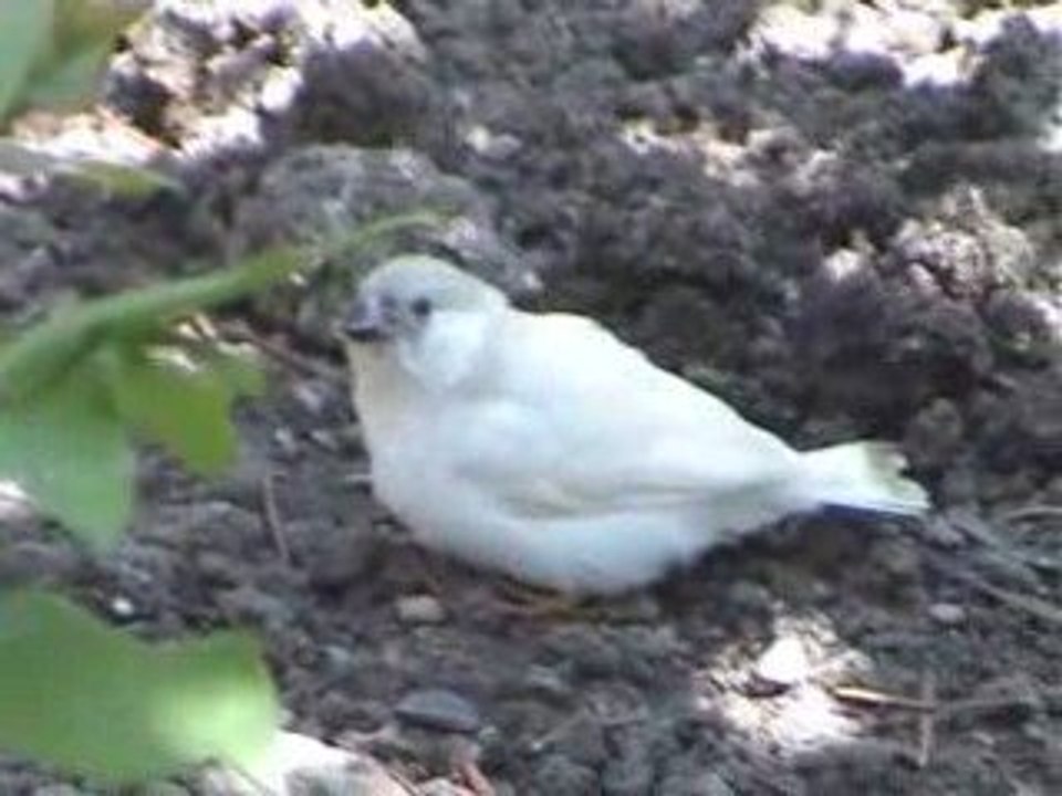 SansTitre_0007