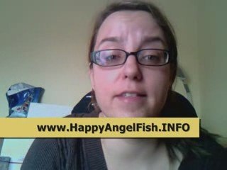 Jaw Dropping Angel Fish Aquarium