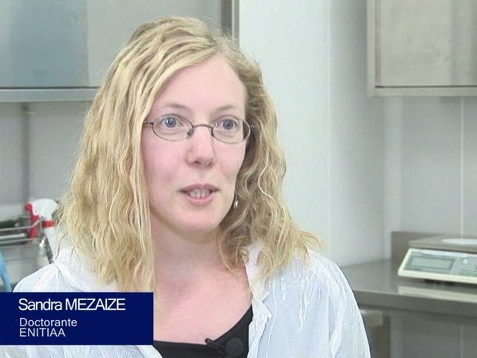 Sandra MEZAIZE, ENITIAA