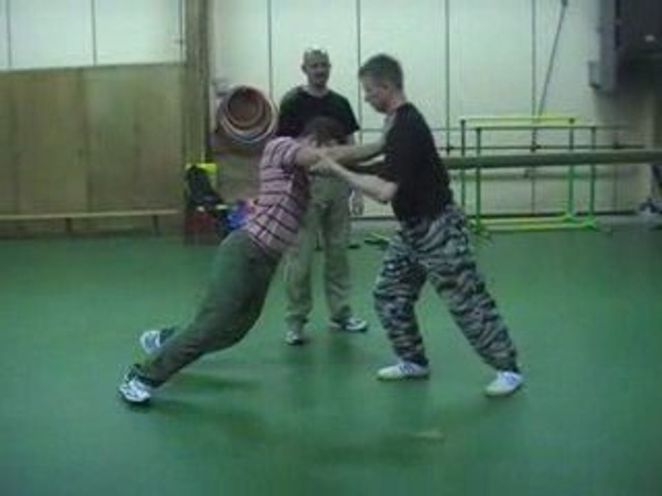 Systema Nevod - Stabilité et force