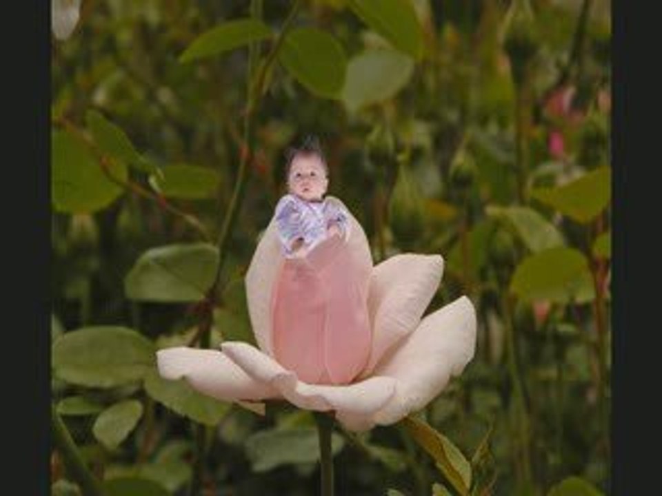 Striking Photography Boulder / Longmont CO