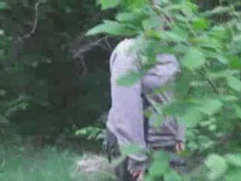 Capture de drapeau HLAF airsoft