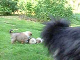 Bb chelsea 6 semaines jeux avec maman