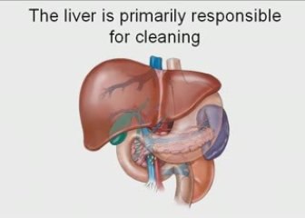 Dr Suzanne Gudakunst Review