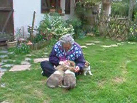 Bb chelsea 6 semaines moments de tendresse