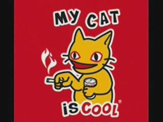 Funny tee shirt