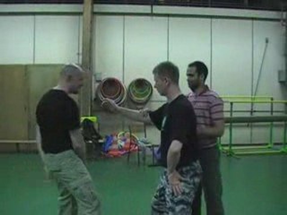 Systema Nevod - Les frappes