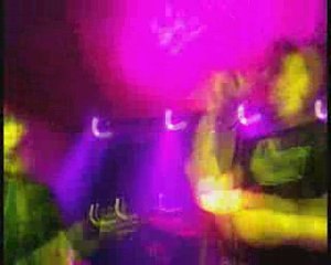 LES PINGOUINS AU GIBUS