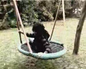 Les aperos du jeudi creative commons factory PARACHUTE