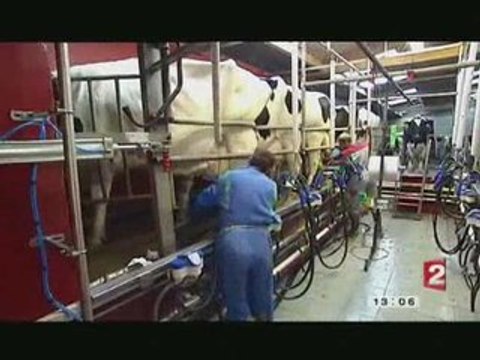Les producteurs ne digèrent pas le prix du lait