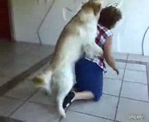 Le chien pervers attaque son maitre