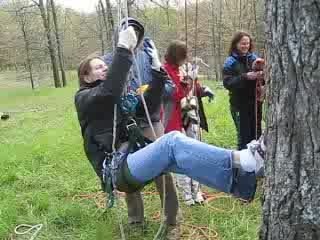 Recreational Tree Climbing - Goofing Around!