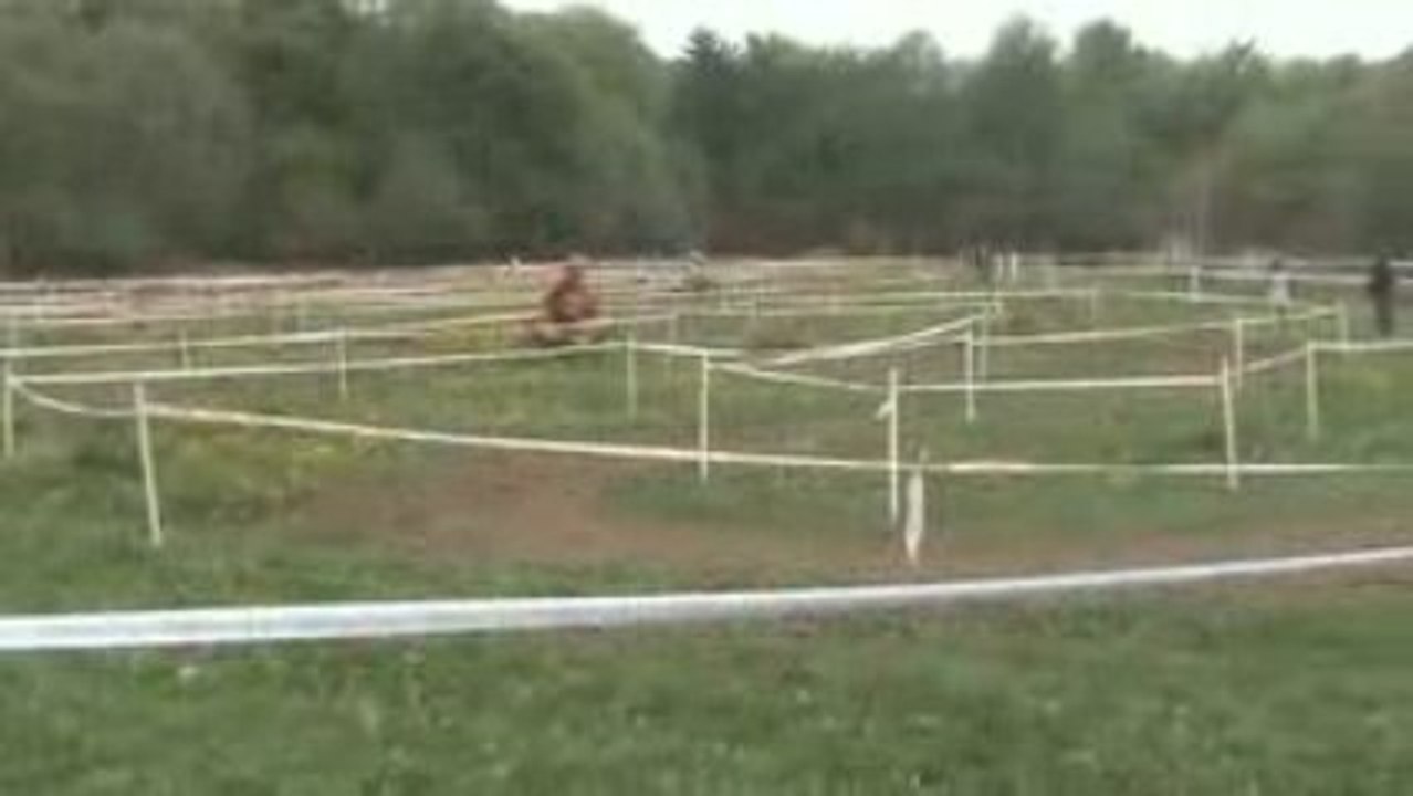 20090510143905